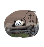 Good Mo（個別スタンプ：2）