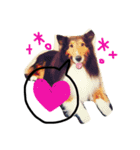癒しの動物たち（個別スタンプ：2）