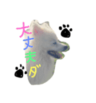 癒しの動物たち（個別スタンプ：4）