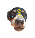 癒しの動物たち（個別スタンプ：8）