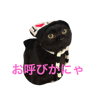 黒猫くまごろう 3（個別スタンプ：6）