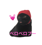 黒猫くまごろう 3（個別スタンプ：7）
