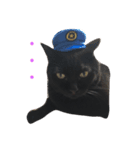 黒猫くまごろう 3（個別スタンプ：8）