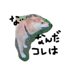 柴犬 ポチ（個別スタンプ：6）
