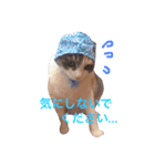 ハルジル（個別スタンプ：2）