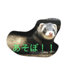 ごろーん（個別スタンプ：3）