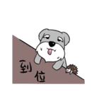 Hedgehog A ancient（個別スタンプ：5）
