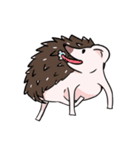 Hedgehog A ancient（個別スタンプ：11）