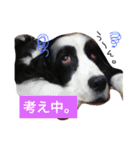 インディくんとときどきラスティさん（個別スタンプ：3）