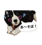 インディくんとときどきラスティさん（個別スタンプ：13）