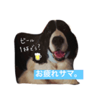 インディくんとときどきラスティさん（個別スタンプ：15）