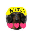 ブギーくんの日常会話（個別スタンプ：2）