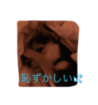 モモチだよ☆（個別スタンプ：7）