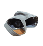 黒猫アッシュ（個別スタンプ：15）