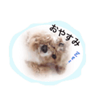 コロちゃん No.3（個別スタンプ：2）
