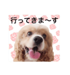 コロちゃん No.3（個別スタンプ：3）