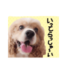 コロちゃん No.3（個別スタンプ：4）