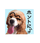 コロちゃん No.3（個別スタンプ：23）