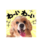 コロちゃん No.3（個別スタンプ：24）