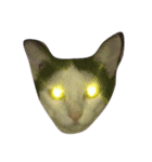 dali : common cat part 2（個別スタンプ：9）
