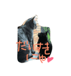キキジジ（個別スタンプ：4）