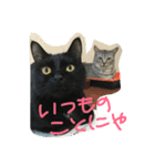 キキジジ（個別スタンプ：5）