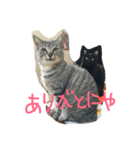 キキジジ（個別スタンプ：8）
