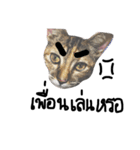 Aorgadukdui（個別スタンプ：3）