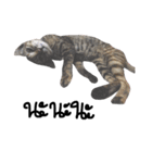 Aorgadukdui（個別スタンプ：9）