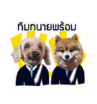 Pkpetsinlove（個別スタンプ：2）
