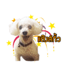 Pkpetsinlove（個別スタンプ：3）