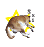 Pkpetsinlove（個別スタンプ：23）