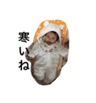 My pumpkin Sec（個別スタンプ：17）