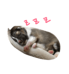 やあ！（個別スタンプ：2）