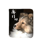 やあ！（個別スタンプ：3）