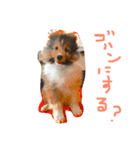 やあ！（個別スタンプ：4）