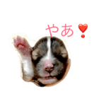 やあ！（個別スタンプ：8）