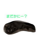 黒猫マロちゃん（個別スタンプ：3）