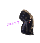 黒猫マロちゃん（個別スタンプ：6）