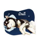 Kumpon（個別スタンプ：16）