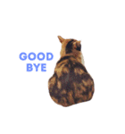 三毛猫ネンネ②（個別スタンプ：15）