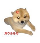 さくら:怒・驚（個別スタンプ：3）