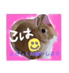 fuumaanri（個別スタンプ：8）
