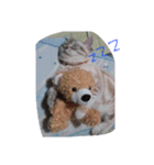動物日和（個別スタンプ：7）
