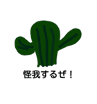 サボテン大好き（個別スタンプ：1）