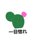 サボテン大好き（個別スタンプ：4）