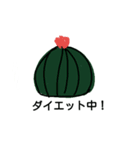 サボテン大好き（個別スタンプ：11）