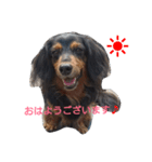 パピックスみんみん2（個別スタンプ：14）