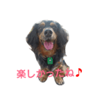 パピックスみんみん2（個別スタンプ：15）