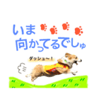コーギーまろんくん（個別スタンプ：5）